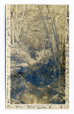 Brandon VT, little brook, pretty woodland scene, RPPC Postcard