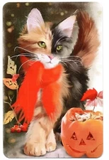 cats swap card / playing card narrow single