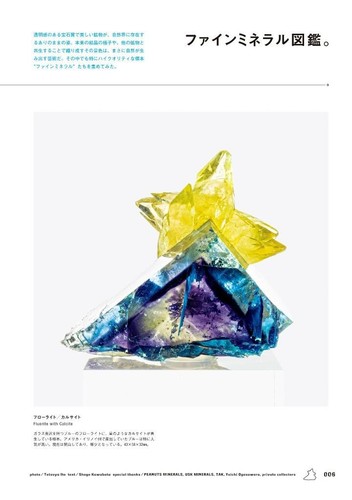 Bizarre Mineral Handbook BRUTUS Special Edition MAGAZINE HOUSE MOOK from Japan - Picture 3 of 13