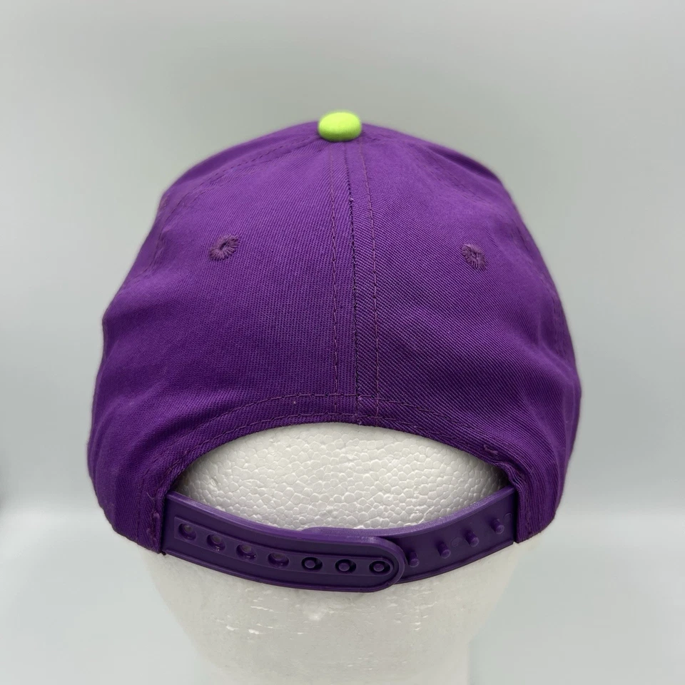 Gorra de queso Chuck E 2018 rara púrpura y verde con billetes gorra Snapback Foto 3 de 4