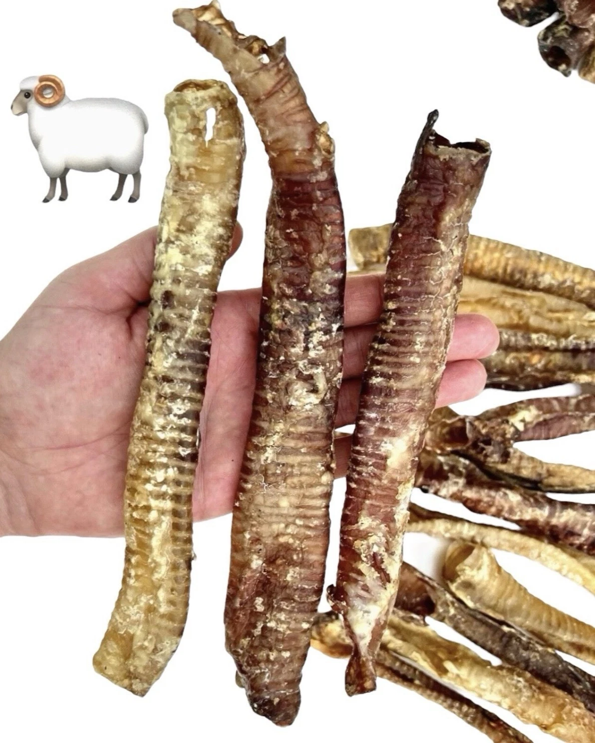 Icelandic Lamb Trachea Cartilage Organic-Natural Air Dried Collagen Chew 300g