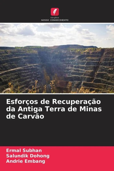 EsforçOs De RecuperaçãO Da Antiga Terra De Minas De CarvãO Ermal Subhan (U. A.)-image