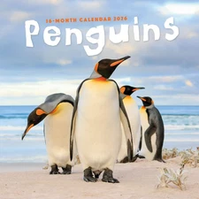 Carousel Calendars,  Penguins 2026 Wall Calendar, 12'' X 12'', 16-Month Calendar
