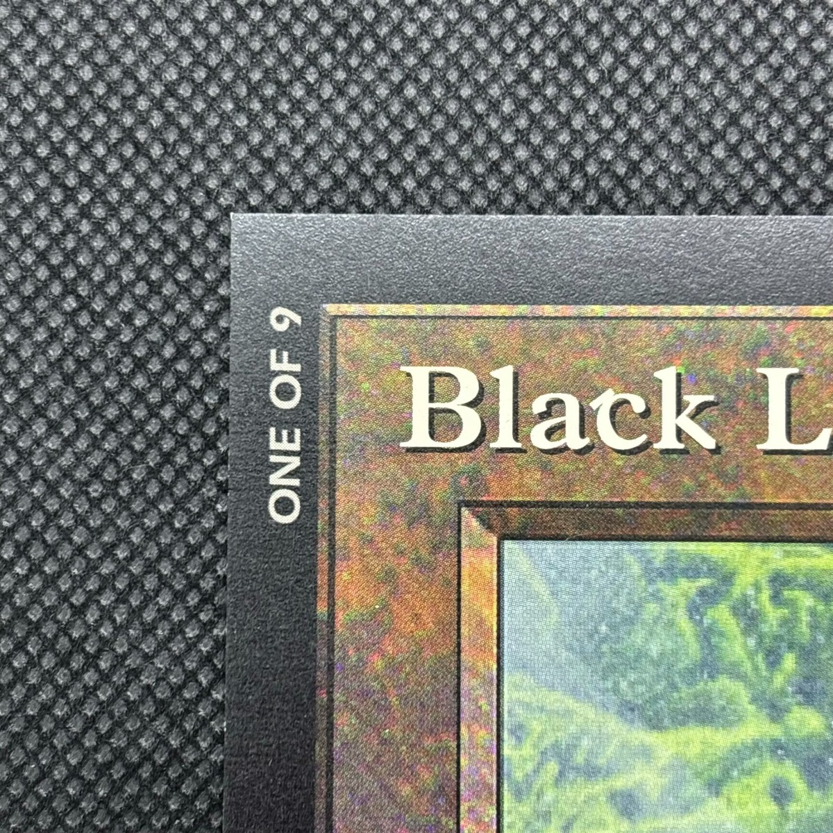 MTG Black Lotus Ultra Pro Puzzle Quest Piece 1 of 9 Magic The