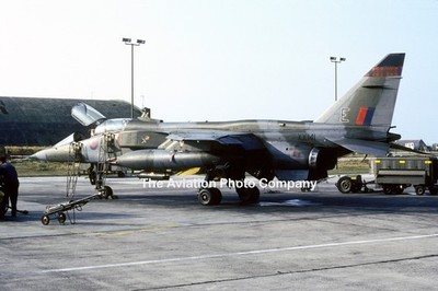 RAF 226 OCU Sepecat Jaguar T.2 XX141/E (1984) Photograph
