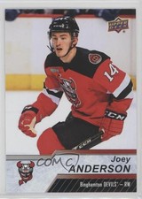 2018-19 Upper Deck AHL Joey Anderson #44 7d2