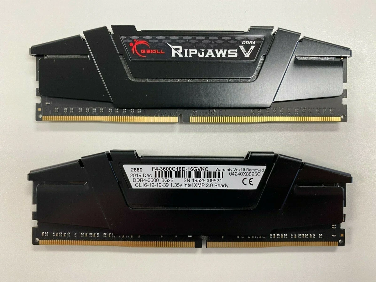 G. SKILL PC4-25600 (DDR4-3200) Bus Speed DDR4 SDRAM Memory (RAM
