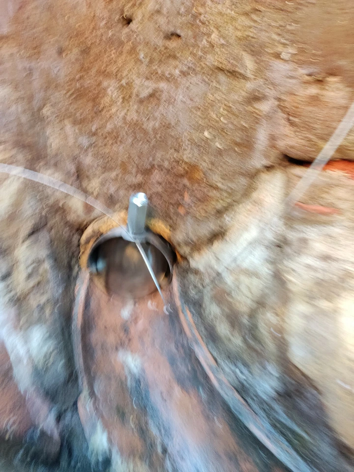 Mini Rat Drain Flap, Non Return Valve 4" 110mm Valve - Prevents Rats Entry - Image 2 of 4