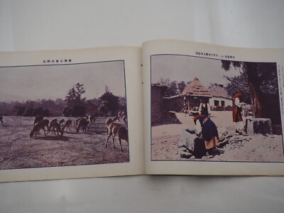 JAPAN　写真集 Y1926 Antique Book - The Graphic Times Japan    The World Vol