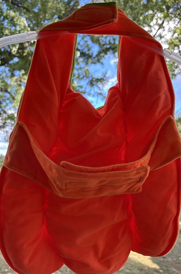 Roupa de abóbora Simply Dog Halloween grande J11 - Imagem 2 de 4