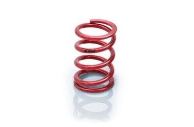 Eibach 0600.250.0400 Race Main Spring 