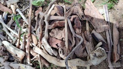 California Ocean unique Driftwood lot of 30 pieces DYI crafts frame beach decor