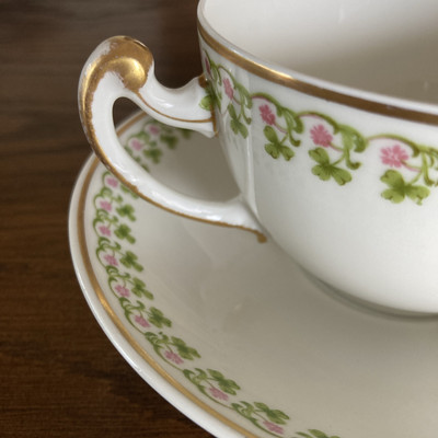 Limoges France Tea Cup And Saucer Set