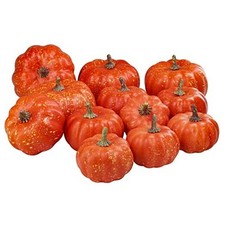 12 Pcs Assorted Small Artificial Pumpkins Harvest Decorative Pumpkins Orange