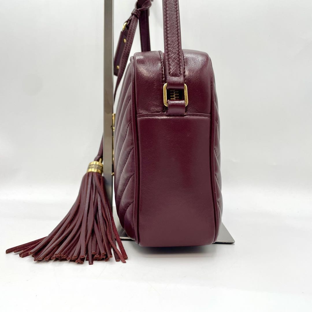 Borsa per fotocamera Extreme Saint Laurent Lou Vuittitch