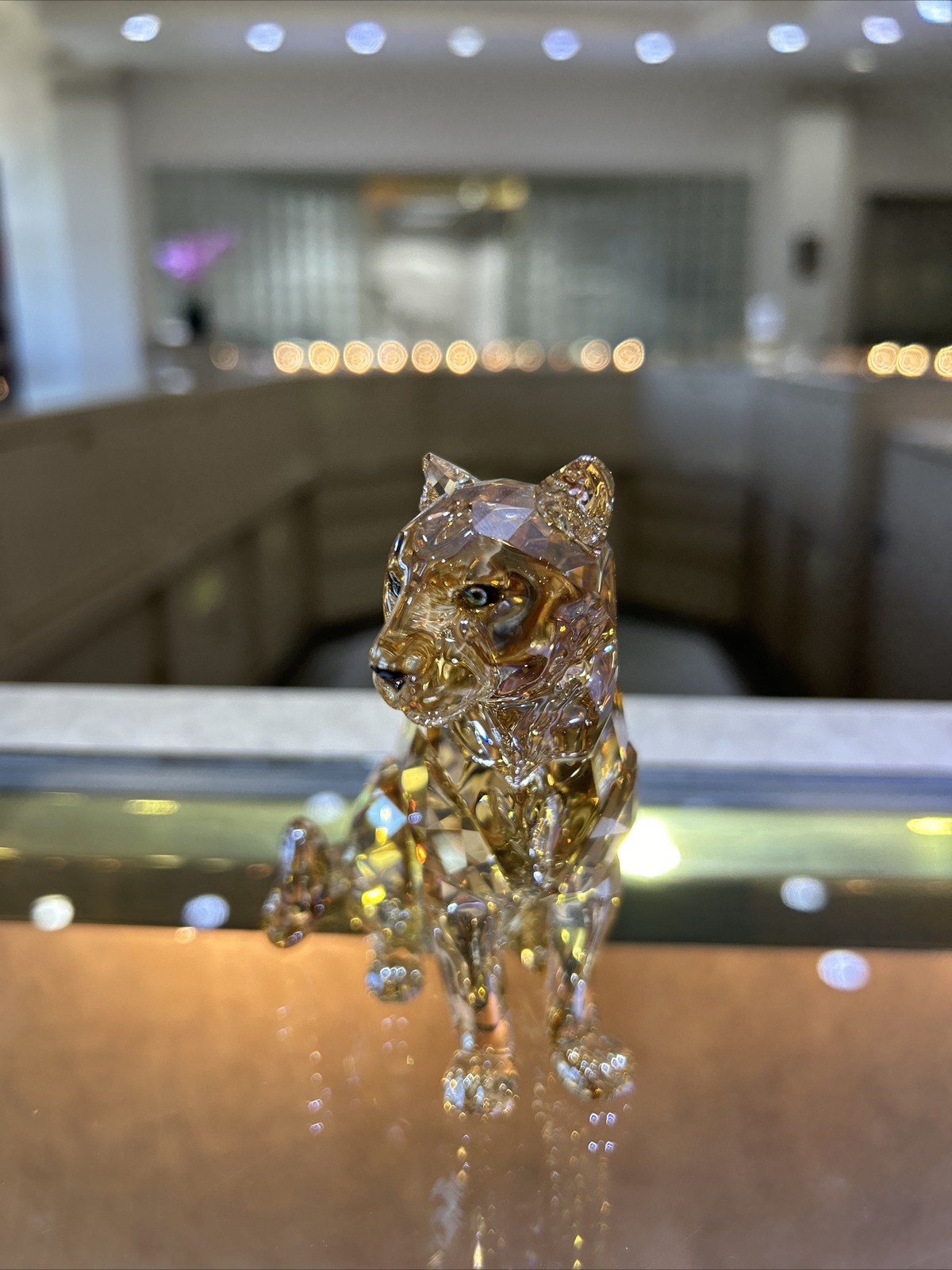 NEW Swarovski Amur Leopard Sofia SCS Members 5428541 With Box- Signed by Artist