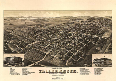 Panoramic Map of Tellahassee Florida 16x24