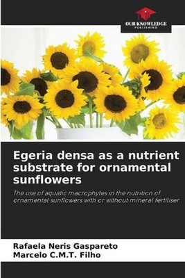Egeria densa as a nutrient substrate for ornamental sunflowers by Rafaela Neris