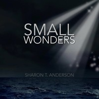 Sharon T. Anderson | Small Wonders | Taschenbuch | Englisch (2010) | Xlibris