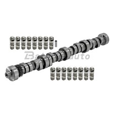 For 85-95 Mustang 5.0 302 Ford Racing M-6250-e303 Camshaft W Roller Lifters Cam For 85-95 Mustang 5.0 302 Ford Racing M-6250-e303 Camshaft W Roller Lifters Cam