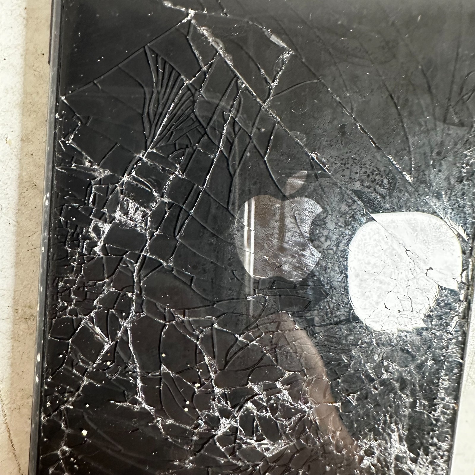 Picture 3 of 15