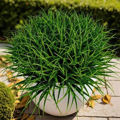 Gipsot 15 Bundles Artificial Plants Faux Monkey Grass UV 15 Bundles, Green