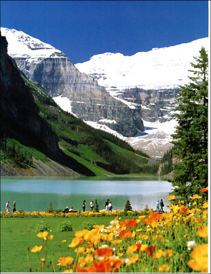 1993 Vintage Print Canadian Rockies Chateau Lake Louise Poppies Mountain Snow