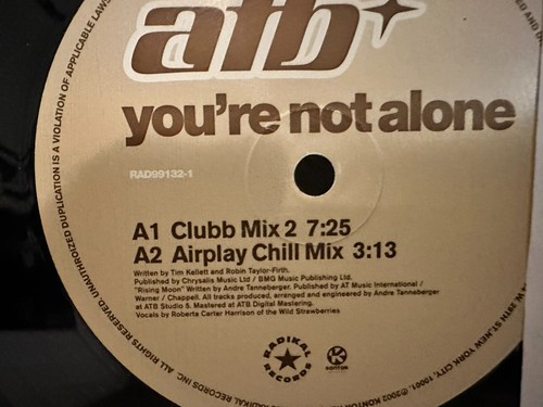 ATB - You're Not Alone 12" Remix Vinyl Record MINT 2002 Ibiza EDM - Picture 4 of 4