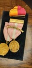 Medal Lot Magna Charta Alabama Governor Plymouth — photo 3