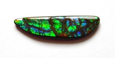 18.00 Ct Natural Canadian Ammolite Cabochon Loose Gemstone 39.9X11.2X3.8MM LC25