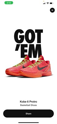 kobe protro 6 reverse grinch  Size 13  FV4921-600  Brand New 