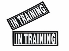 IN TRAINING 3D Rubber PVC Patch Label Tag For Dog Harness Collar Vest