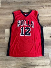 NBA Chicago Bulls Jersey Mens XL Kirk Hinrich 12 Red Black Authentic Mesh Team