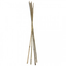 Farm Plastic Supply - Bamboo Garden Stakes - 2 Feet