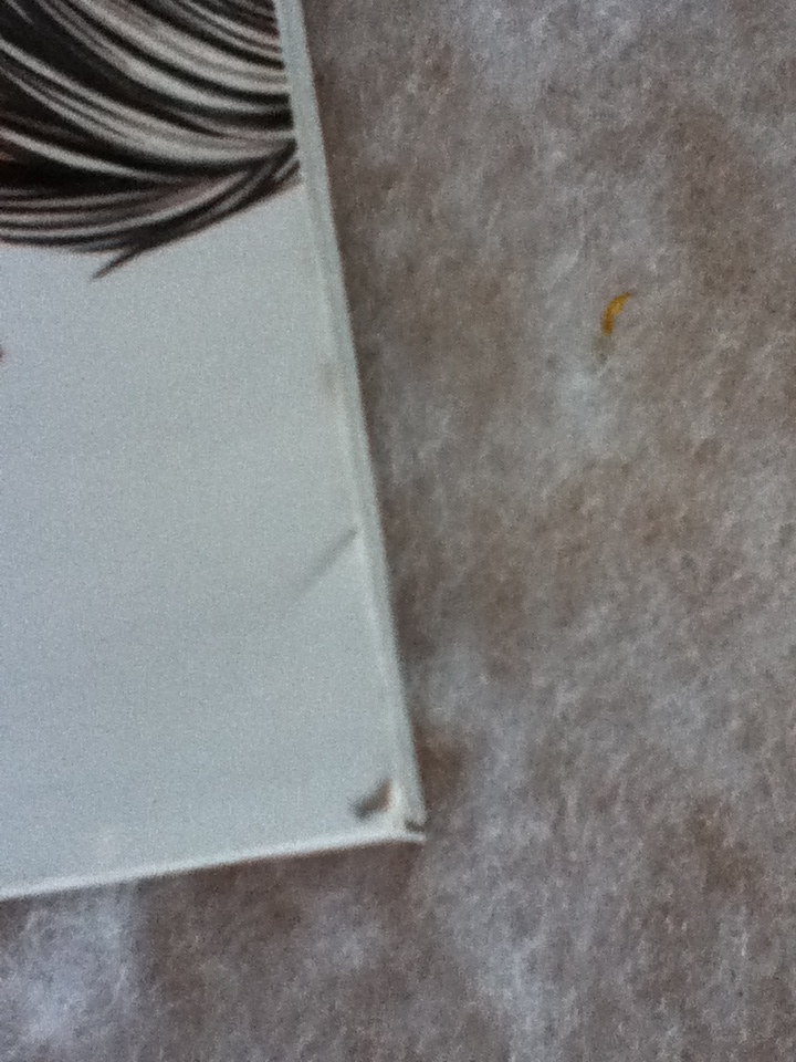 Picture 10 of 10