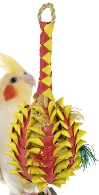 pineapple foraging toy