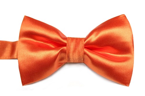 Satin Bow Tie Adult, Baby ,Toddler, Boys .Teens for Wedding Formal Tuxedo Suit - Picture 13 of 39