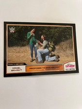 Daniel Bryan Brie Bella 2014 topps bronze parallel wwe wrestling card see scan