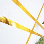 Bild 5 von 8