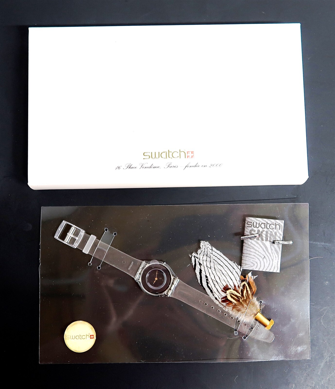 Swatch PLUME SAVANTE SFK114P Luxury Watch 2000 Collection