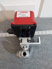 Assured Automation Model R300B Electric Actuator Part No. C33DGXR4B-HT