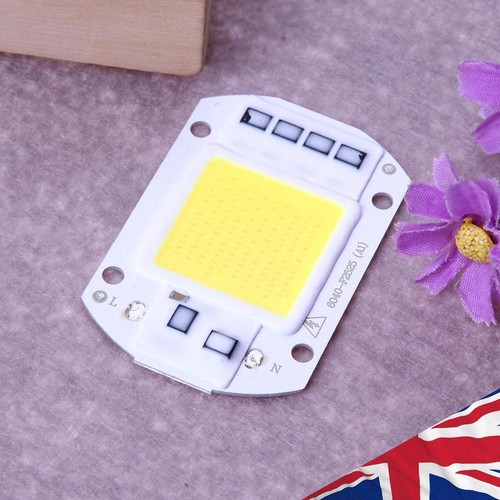 50W LEDs Floodlights COB Chips 220V Input Integrated Smart IC Driver