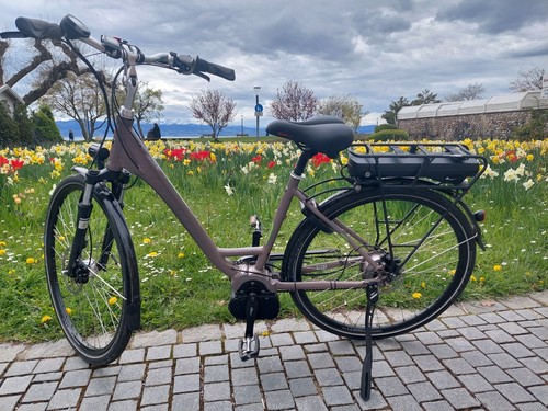 Victoria E-Bike Mondeville mit Bosch Motor
