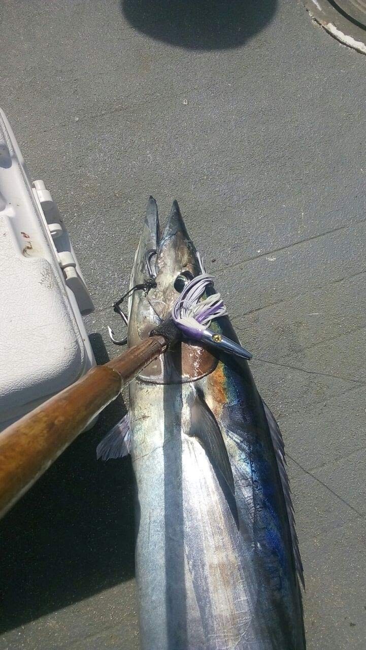 2 Pack High Speed ​​Skirted Wahoo & Tuna Lures Rigged 6ft 150lb Leader Line + Ba - Image 4