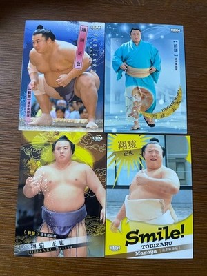 Tobizaru Sumo Karte BBM Set Neu Sammlerstück Selten Japan