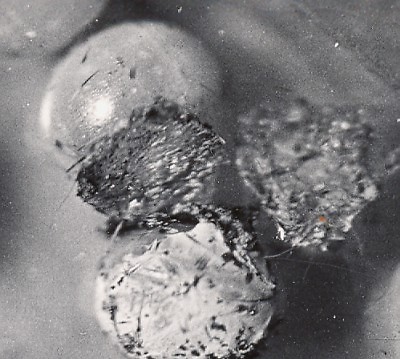 Makrofotografie Wissenschaft Studie Schnappschuss 1930 - Bild 2 von 3