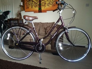 pendleton pannier bike bag