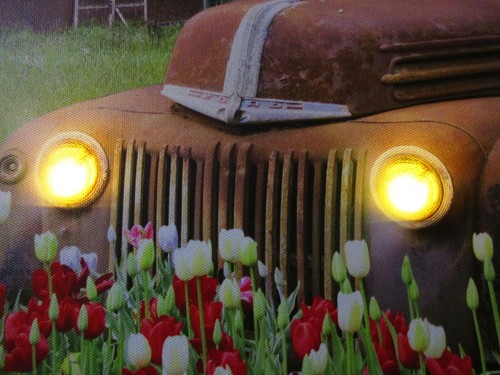 Rusty Farm Truck Print Lighted LED Headlights Ford Truck Old Barn Tulips - Picture 2 of 8