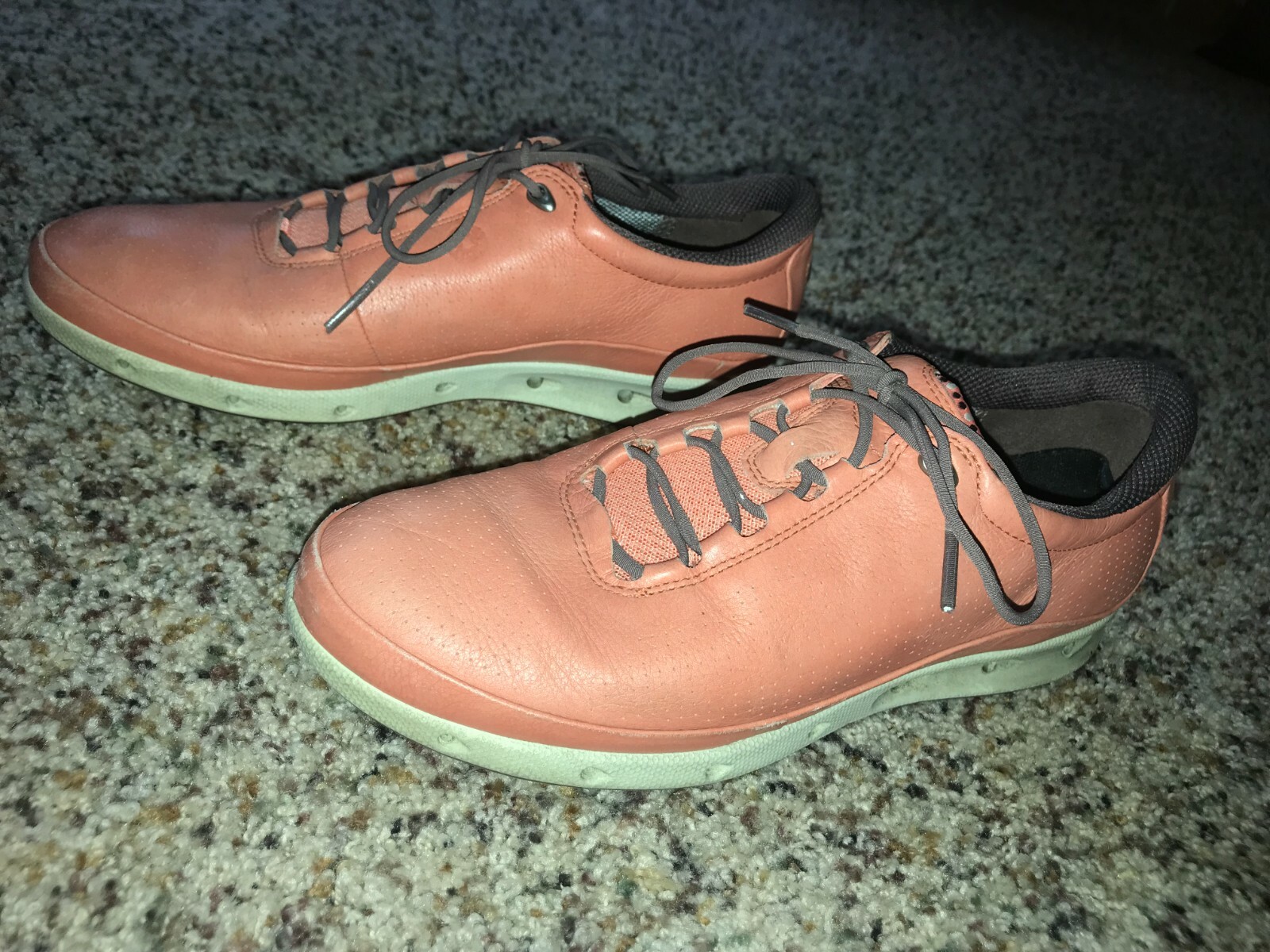 gore tex surround ecco