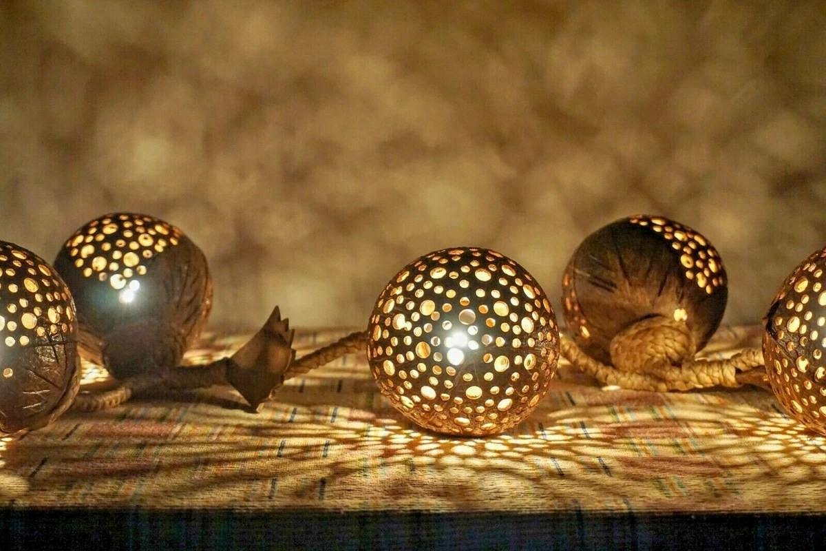 Coconut 2024 shell light
